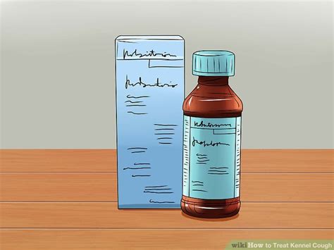 How to Treat Kennel Cough: 13 Steps (with Pictures) - wikiHow