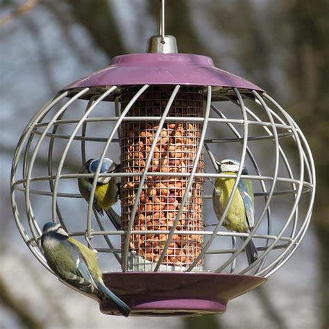 Flyte So Fancy: Feed the Birds