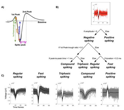 Waveform selection and features. A) Waveform features used for the ...