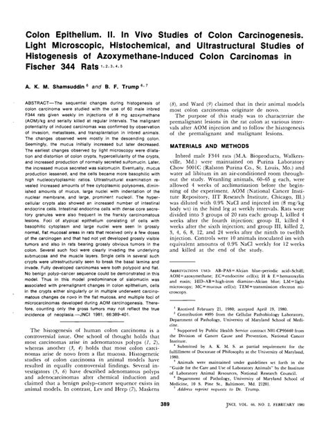 (PDF) Colon Epithelium. II. In Vivo Studies of Colon Carcinogenesis. Light Microscopic ...