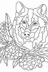 Mandala Wolf Coloring Page  Sheet 9 Download Print Now sketch template