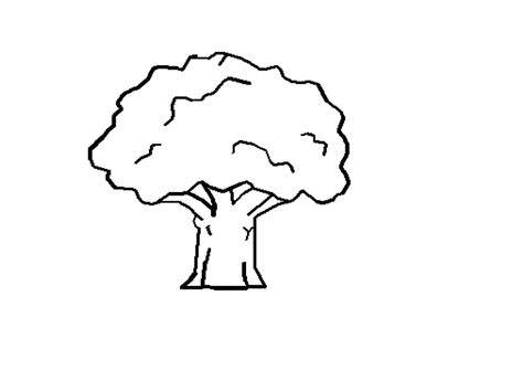 Tree Black and white Drawing Oak, Tree Line Art, white, text, hand png | PNGWing