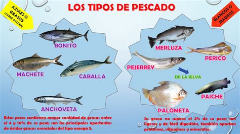 Bitácora Nutrilúdico: CONOCIENDO LOS TIPOS DE PESCADO