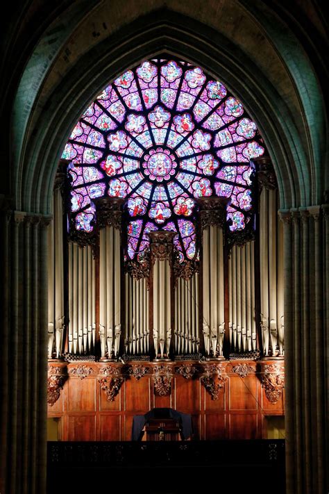 What's inside the Notre Dame Cathedral in Paris