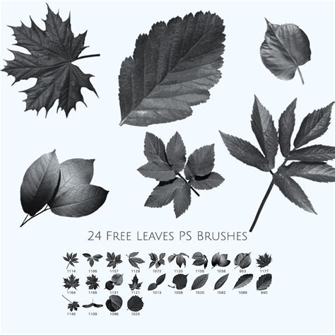 24 Free Leaves Photoshop Brushes - Photoshop brushes