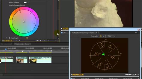 Color correcting premiere | Vectorscope, waveform, etc. | Color correction, Color, Tutorial