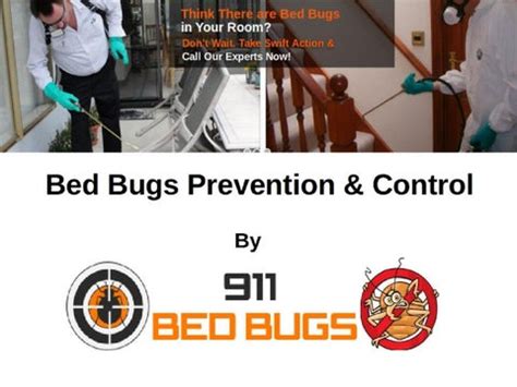 Bed Bugs Prevention & Control by 911 Bed Bugs - Issuu