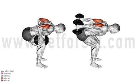 How to Master the Tricep Kickback - SET FOR SET