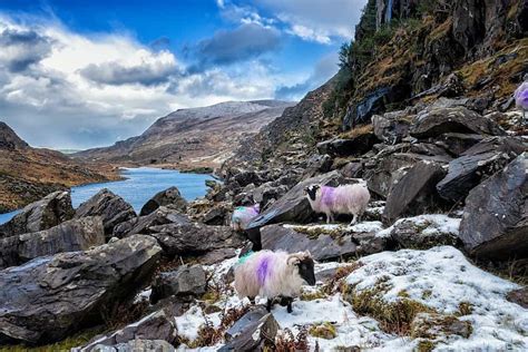 Gap of Dunloe - Ireland Highlights