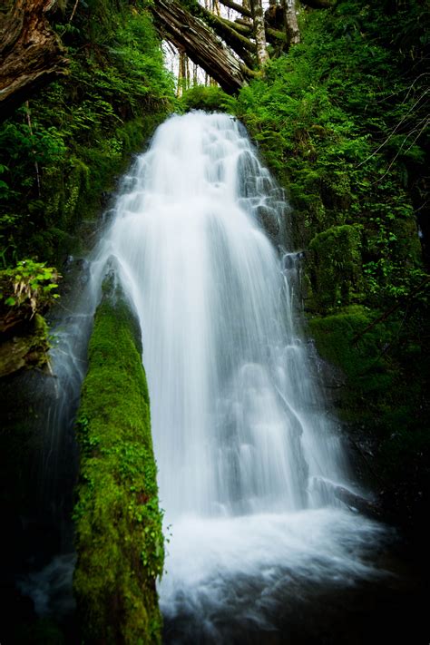 KKPhotography | Tillamook state forest, State forest, Oregon coast