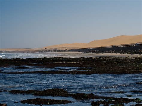 Stevenzo - Steven Adler's: Walvis Bay Flamingos