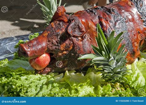 Whole roasted pig stock image. Image of fired, platter - 11023285