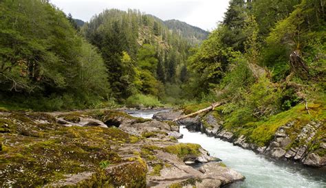 This Monday: Speak up for Oregon’s streams and salmon | Oregon Forest Conservation Coalition