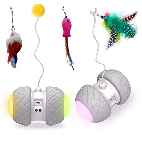 Interactive Cat Toys