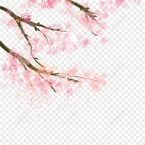 Cherry Blossom Branch, Cherry Blossom Branch Pictures, Spring, Sakura ...