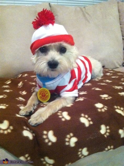 Waldo's Dog Woof Costume | Halloween Party Costumes - Photo 4/5