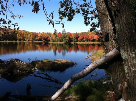 Langlade County | North Central Wisconsin