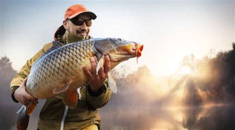 The Best Spots for Carp Fishing in Minnesota