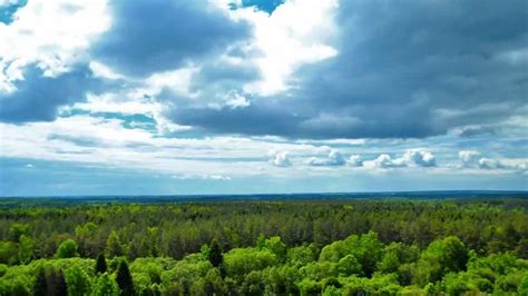 Time lapse BELARUS NATURE HD - YouTube