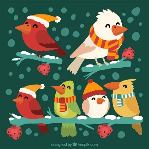 Pack de pájaros con elementos de invierno | Vector Gratis