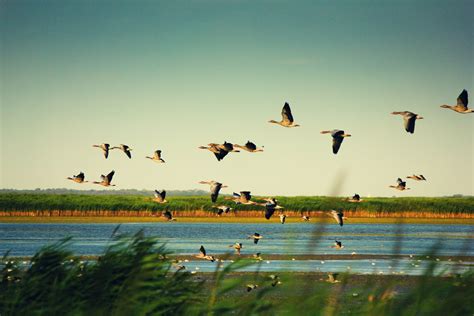 Hortobágy National Park in Hungary 2024 - Rove.me