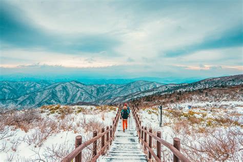 Complete Guide to South Korea in Winter: What to See, Do & Eat | Linda Goes East