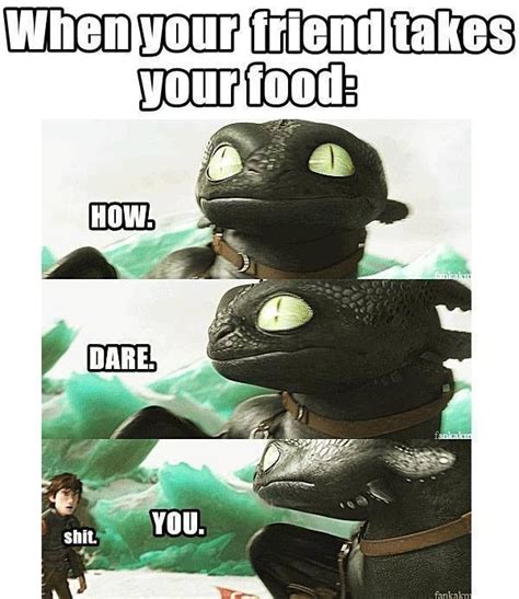 Pin by You’re Stuck With Me, Skyguy on How To Train Your Dragon | Really funny memes, Httyd ...