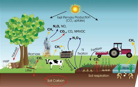 Agriculture: the Main Driver of Climate Change and Deforestation - KARAKAL