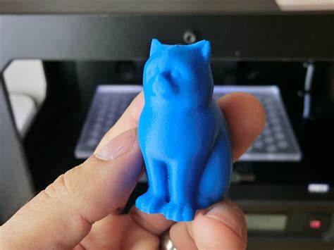 Laser Cat - MakerBot Replicator 2 v01 | The MakerBot Digitiz… | Flickr