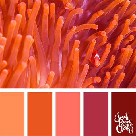 25 Color Palettes Inspired by Ocean Life and PANTONE Living Coral