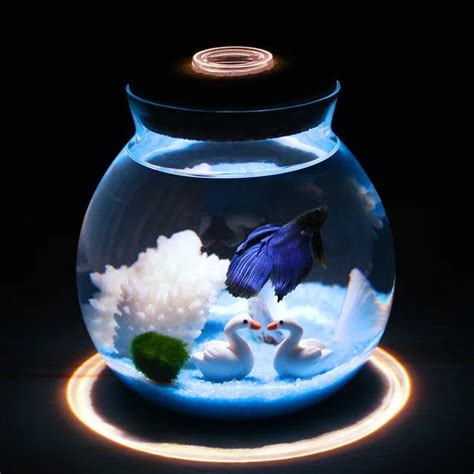 1pcs Mini Betta Fish Tank with Small Lights Desk Ornament Aquarium Plants Decoration Background ...