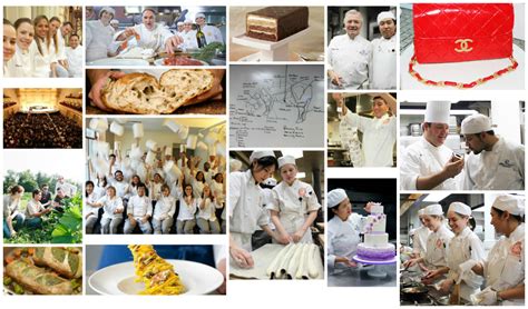 Our 8 Best Culinary Arts Schools