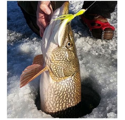 The Best Northern Pike Lures - How To Find The Right One?