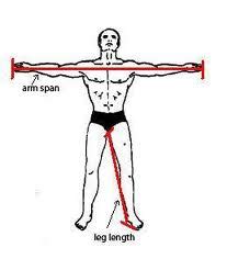 Arm Span VS Height: Introduction