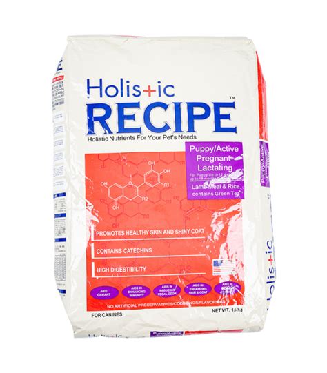 Holistic Recipe Lamb & Rice Puppy Formula Dry Dog Food