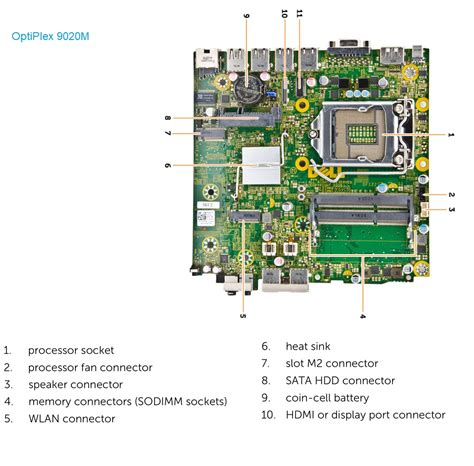 Dell OptiPlex 9020M vs. Dell OptiPlex M 7010 2023 Comparison