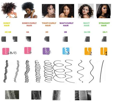 Natural Hair Chart. 4a/4b/4c etc..