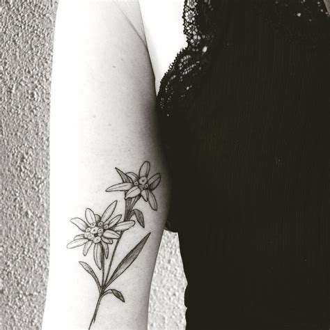 black and white edelweiss tattoo - jeanvandevelde1999