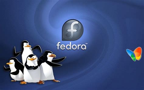 Fedora 24 Linux to Ship with GCC 6 by Default, Most Packages Need to Be ...