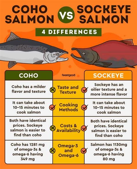 Coho vs Sockeye Salmon: What Are The Differences? - FeastGood.com