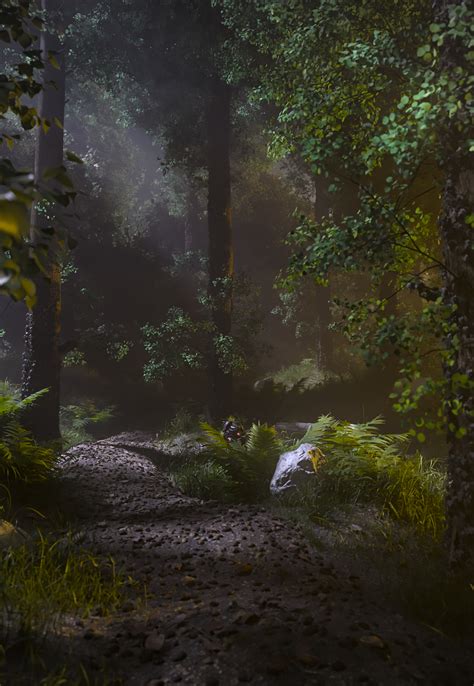 Forest Path Day/Night - Finished Projects - Blender Artists Community