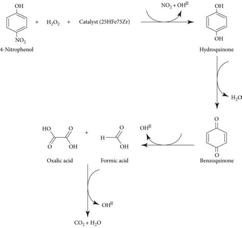 Illustration of degradation mechanism of 4-nitrophenol using the best... | Download Scientific ...