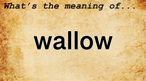 Wallow Meaning : Definition of Wallow - YouTube