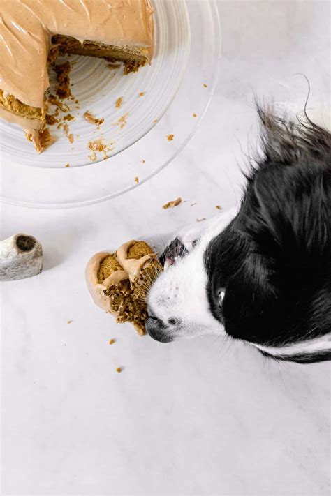 Peanut Butter Pumpkin Dog Birthday Cake - Sloane's Table