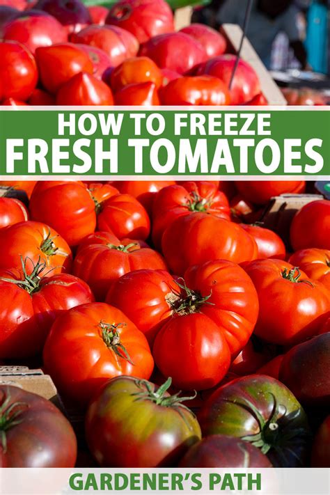 Tips for Freezing Your Homegrown Fresh Tomatoes