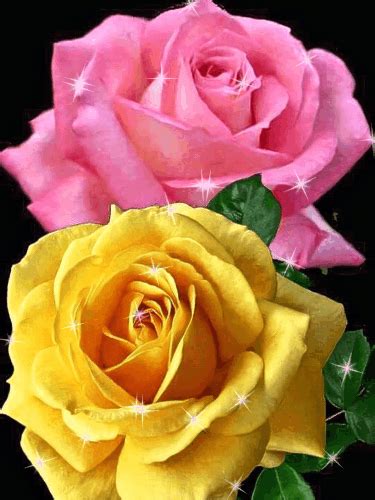 two pink and yellow roses with green leaves on a black background, one has diamonds in its center