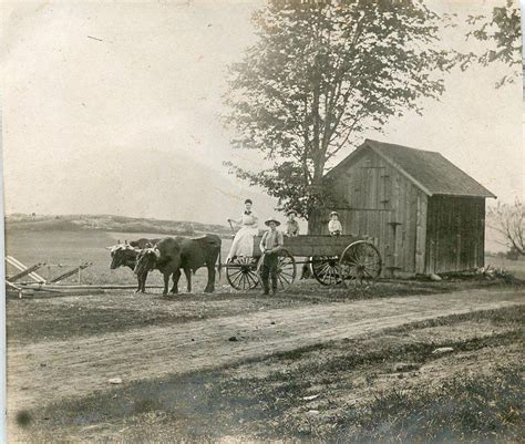 Victorian farm family in oxen-pulled wagon. Late 1800s. Old Pictures, Old Photos, Vintage Photos ...