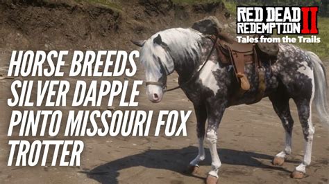 Red Dead Redemption 2: Horse Breeds - Silver Dapple Pinto Missouri Fox ...