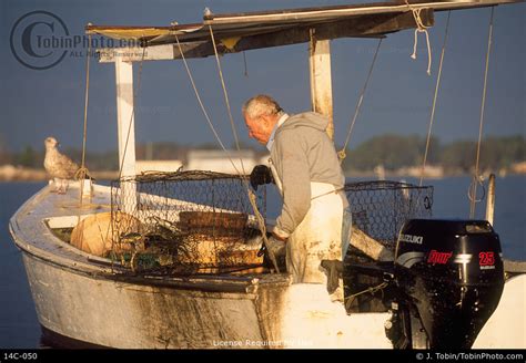 Chesapeake Bay Crabbing Picture 14C-050