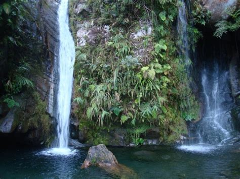 Tales of the Lonely Sperm: “Mt. Kanlaon National Park: the Oriental Assault”